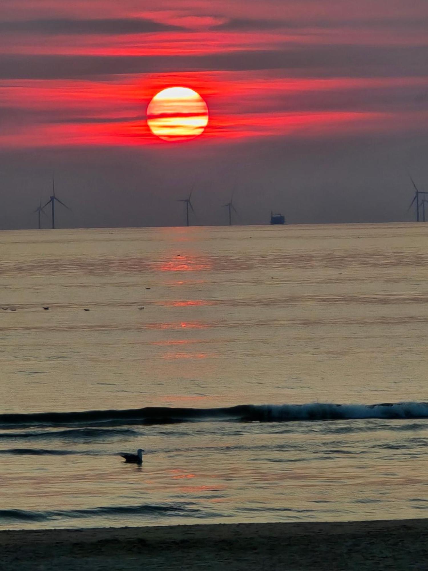 Vila Zeezuid Egmond aan Zee Exteriér fotografie